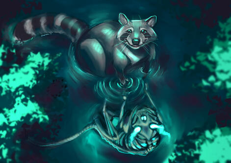 submission to it's always a raccoon zine